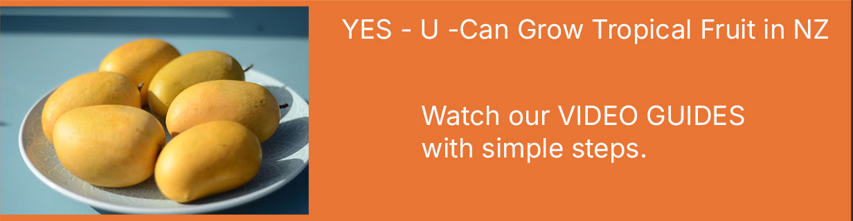 Mango and Papaya Specialists